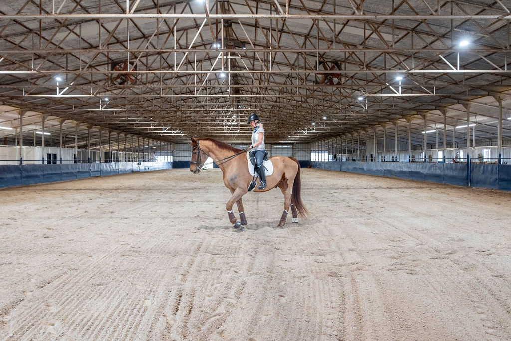 A first outing on our newly refurbished indoor arena footing.